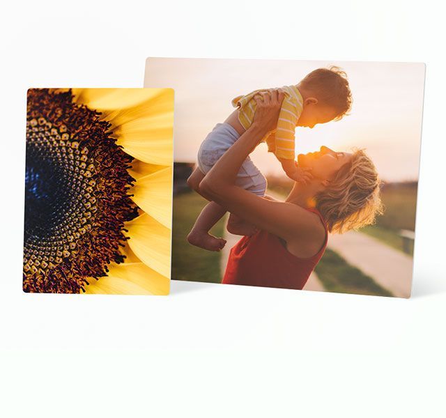 Metal Prints > image