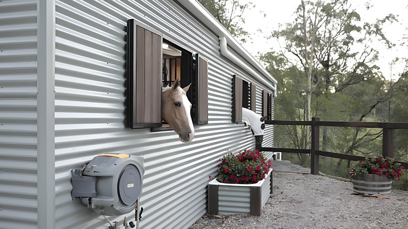 A Horse is Looking Out of the Window of a Building — Hastings Valley Sheds in Wauchope, NSW