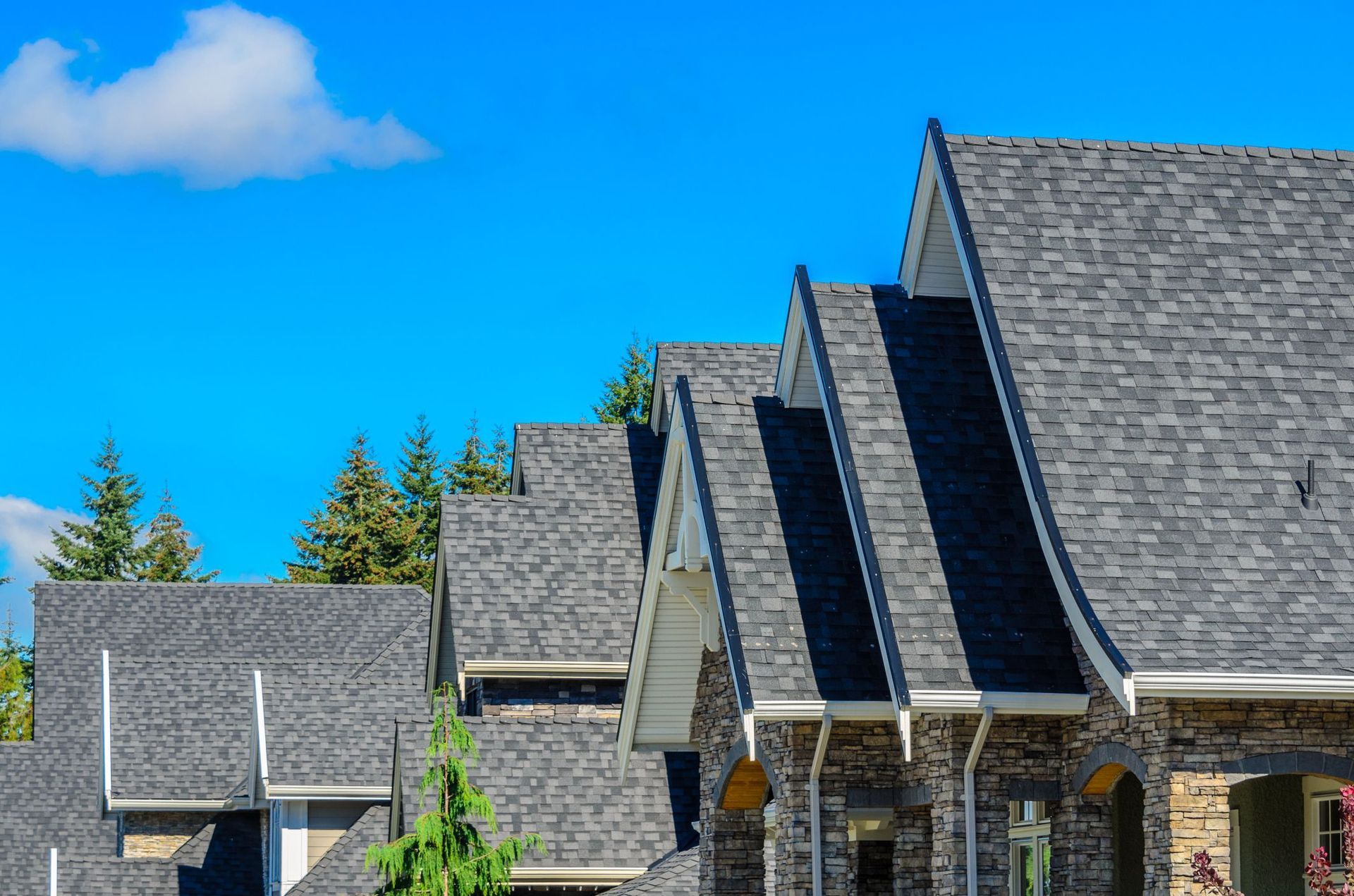 Roof Replacement