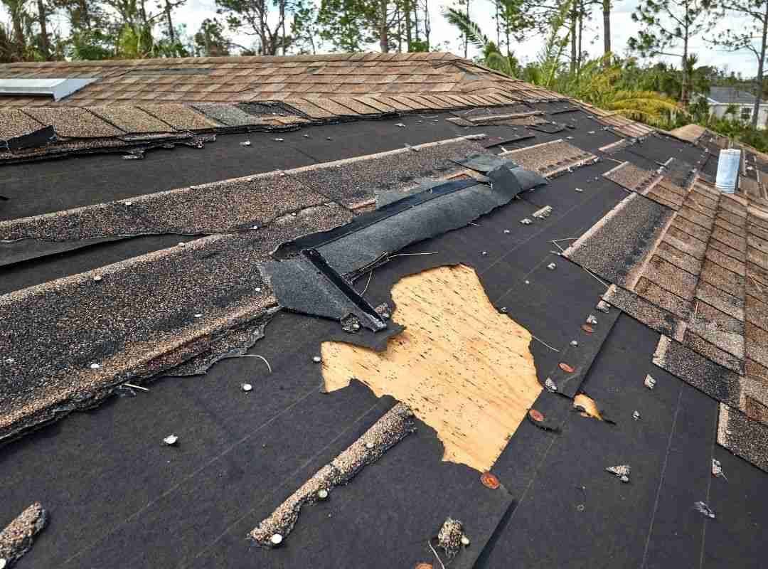 Roof Replacement