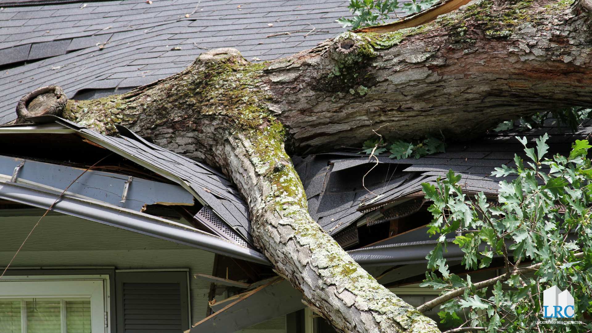 flower mound emergency roof repair