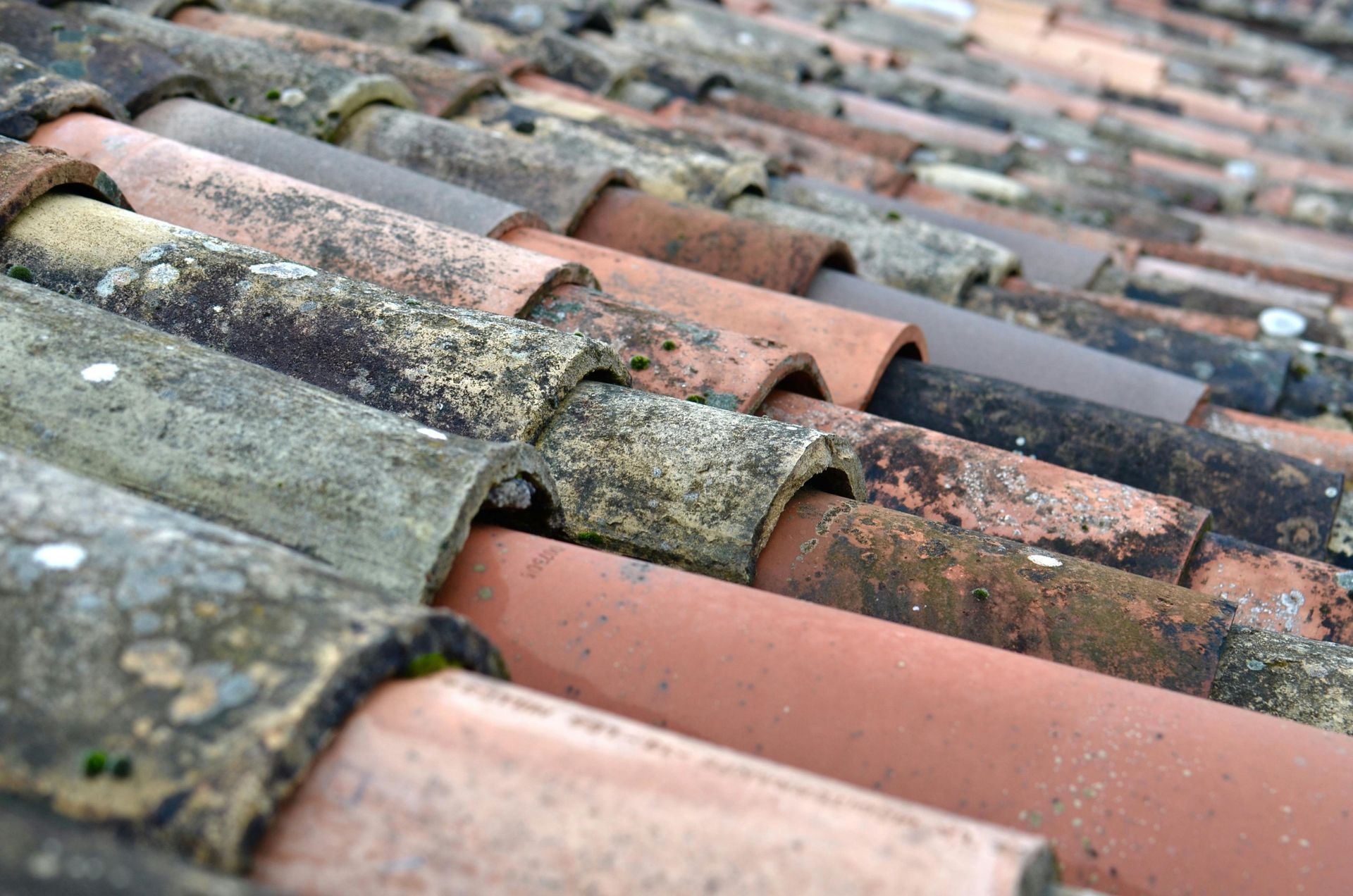 Licensed Roofing Contractor
