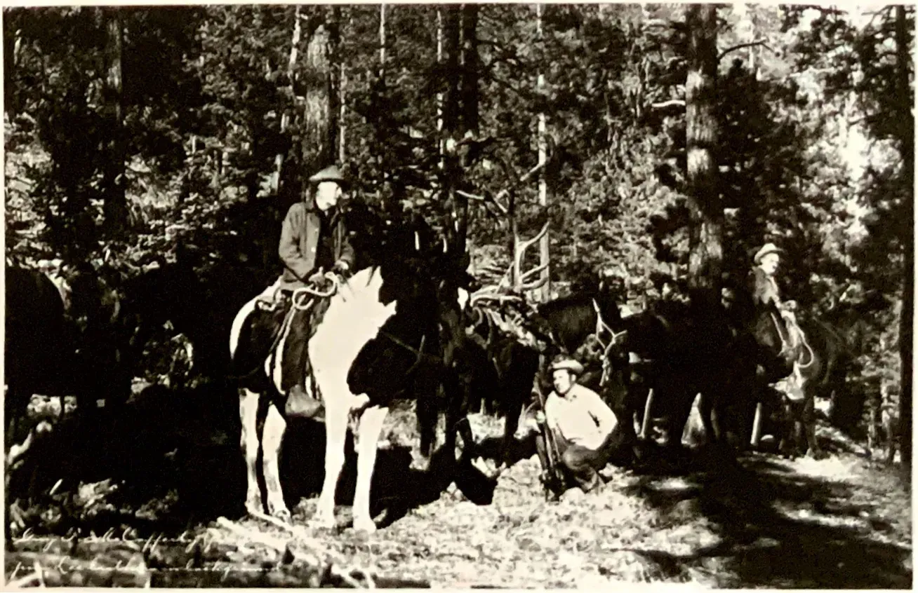 A black and white photo of a group of people riding horses in the woods.