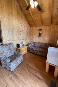 There is a couch and a chair in the living room.