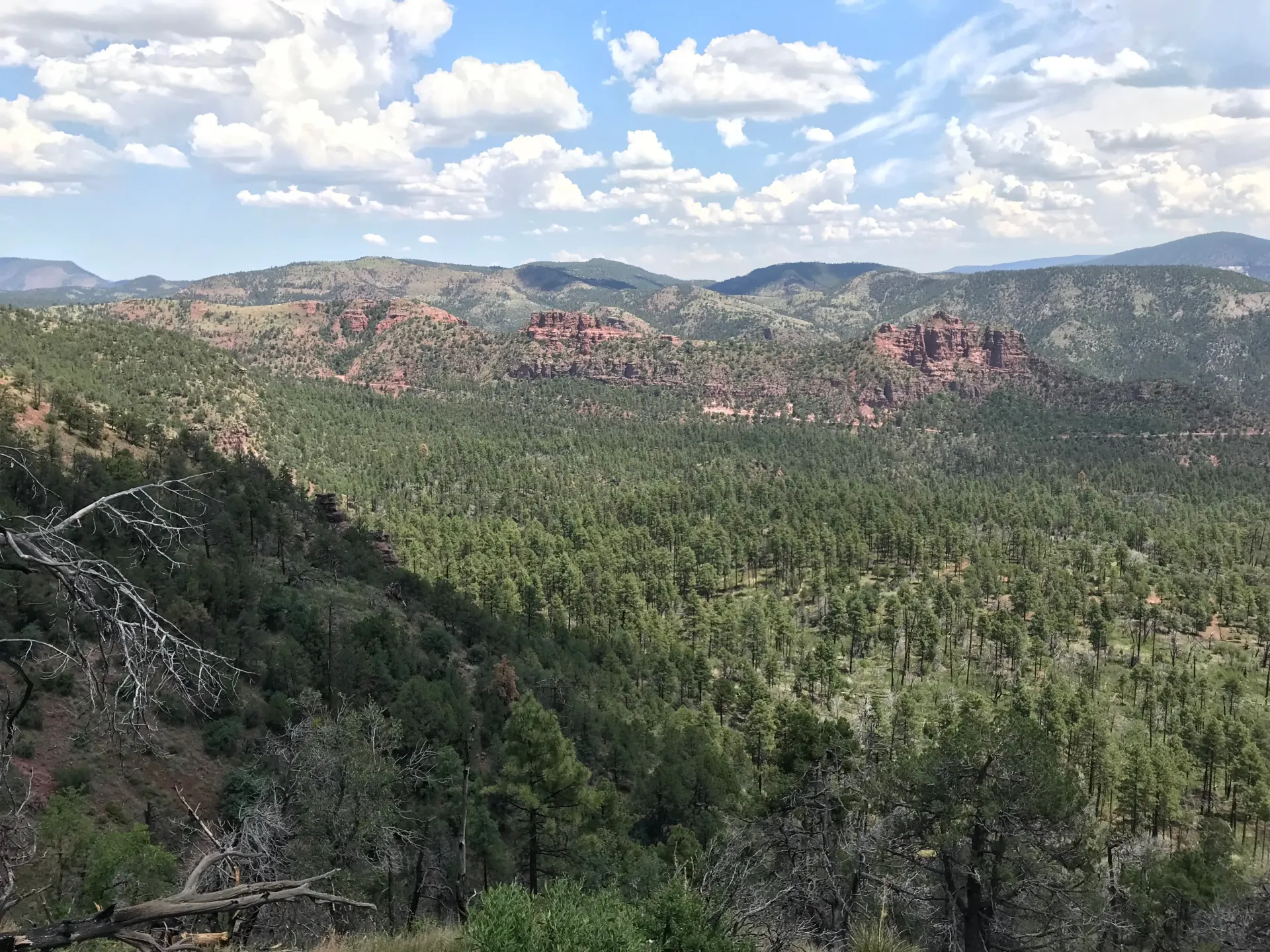 Wide view of a green forested canyon with red rocky cliffs under a partly cloudy sky