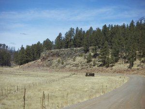 A dirt road going through a field with trees in the background.