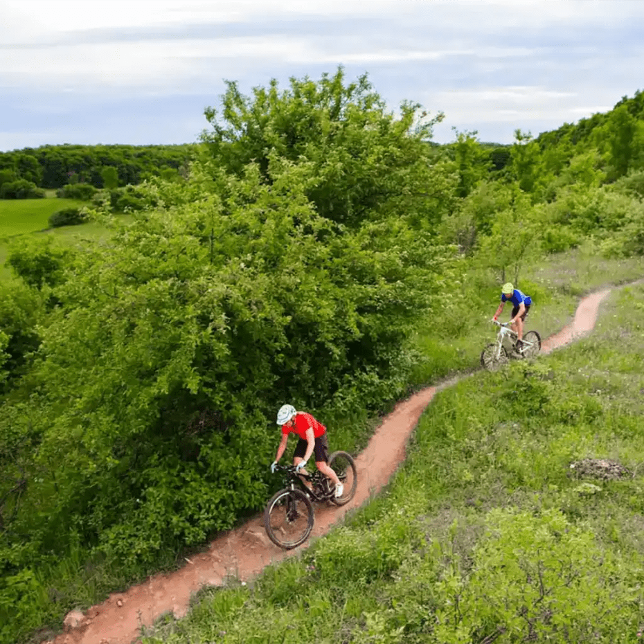 A couple of people are riding bikes down a dirt trail.