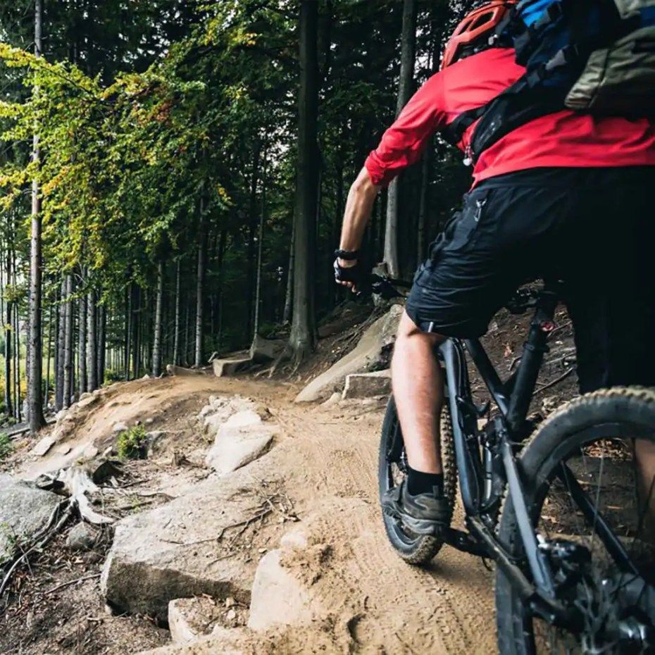 A man is riding a bike down a dirt trail in the woods.