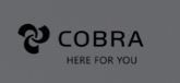 The cobra here for you logo is on a gray background.