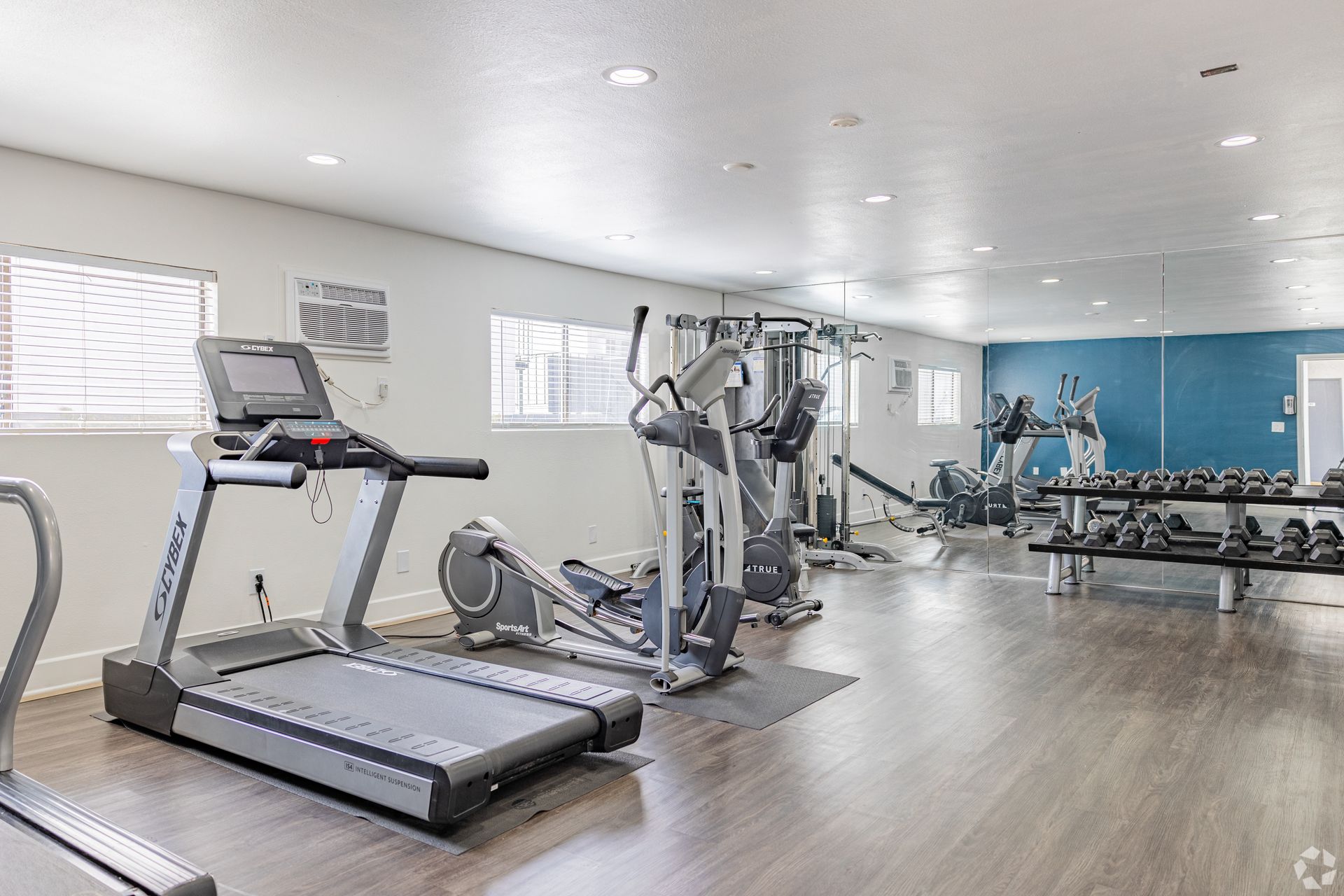 A large gym with treadmills , ellipticals , and dumbbells.