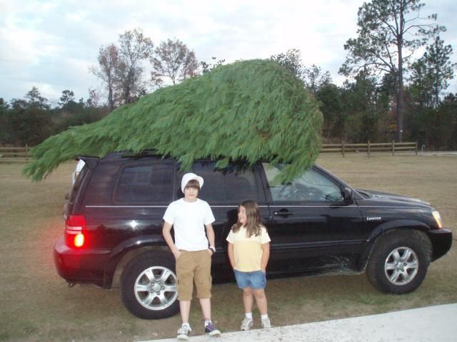 Two children stand beside a black SUV with a large Christmas tree strapped to the roof.