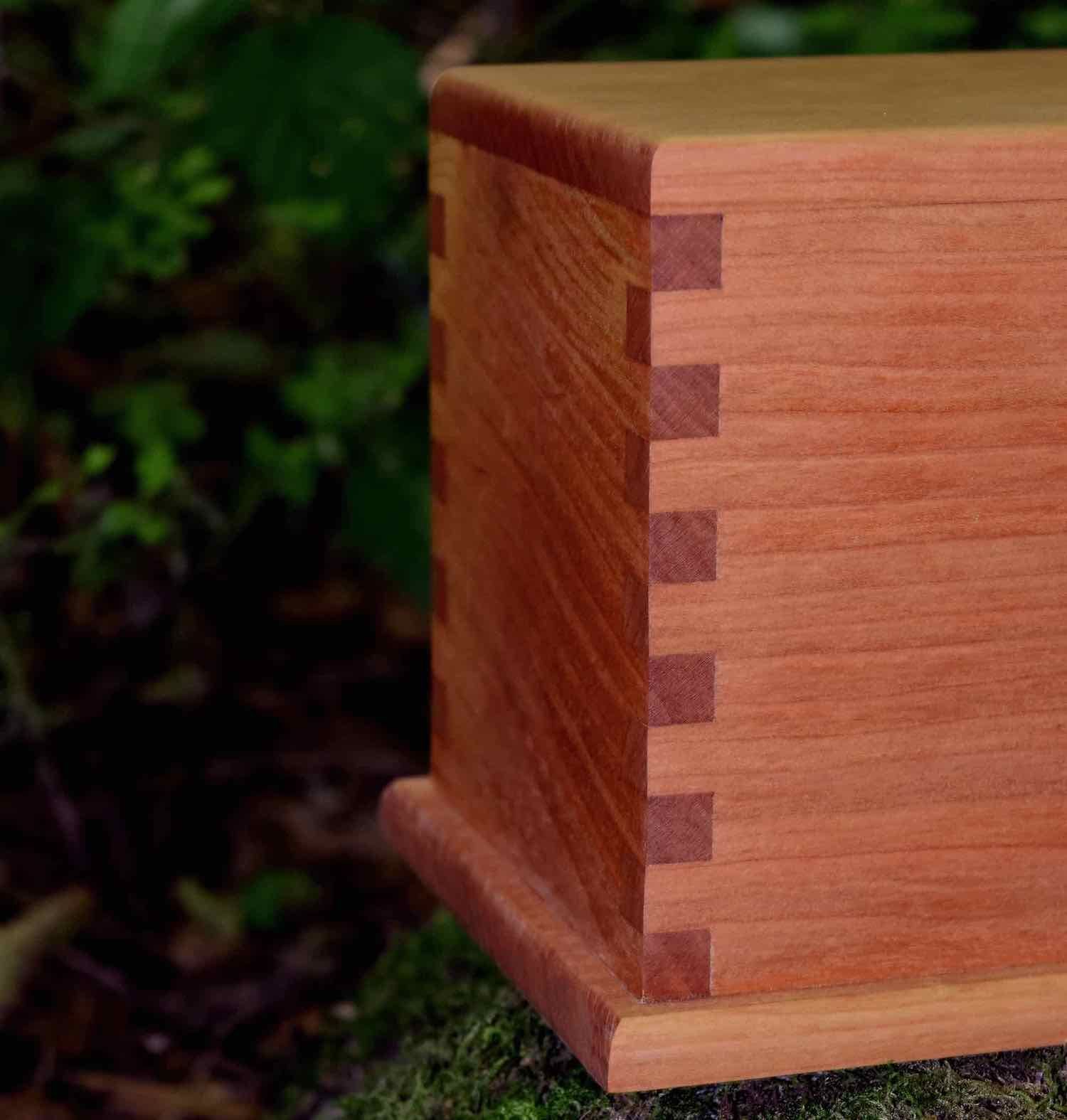 A wooden box with visible dovetail joinery sits on a mossy surface against a backdrop of blurred green foliage.