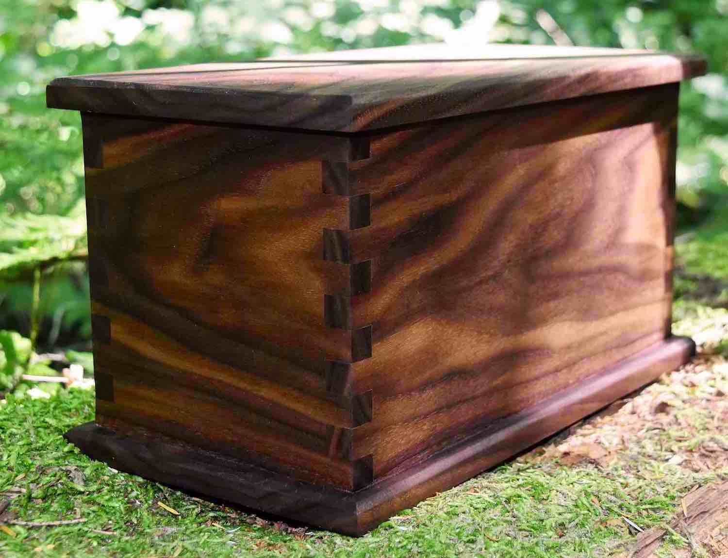 A dark, polished wooden box with dovetail joints, resting on a mossy, forest floor.