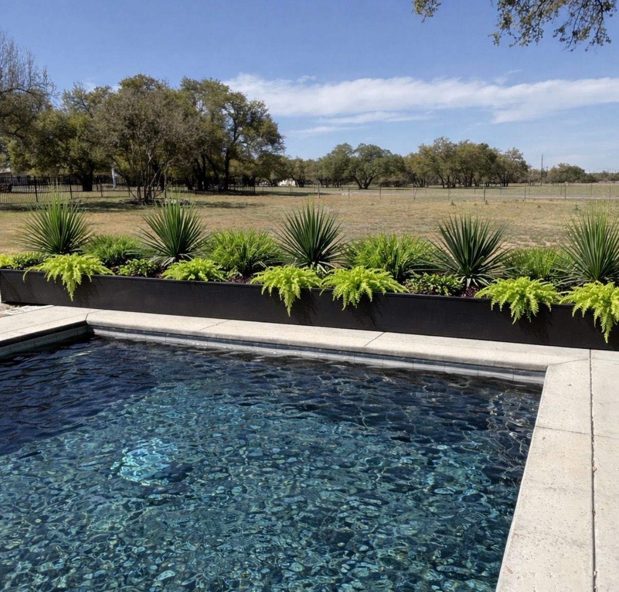Backyard pool with stone deck, green plants, and a grassy landscape under a blue sky