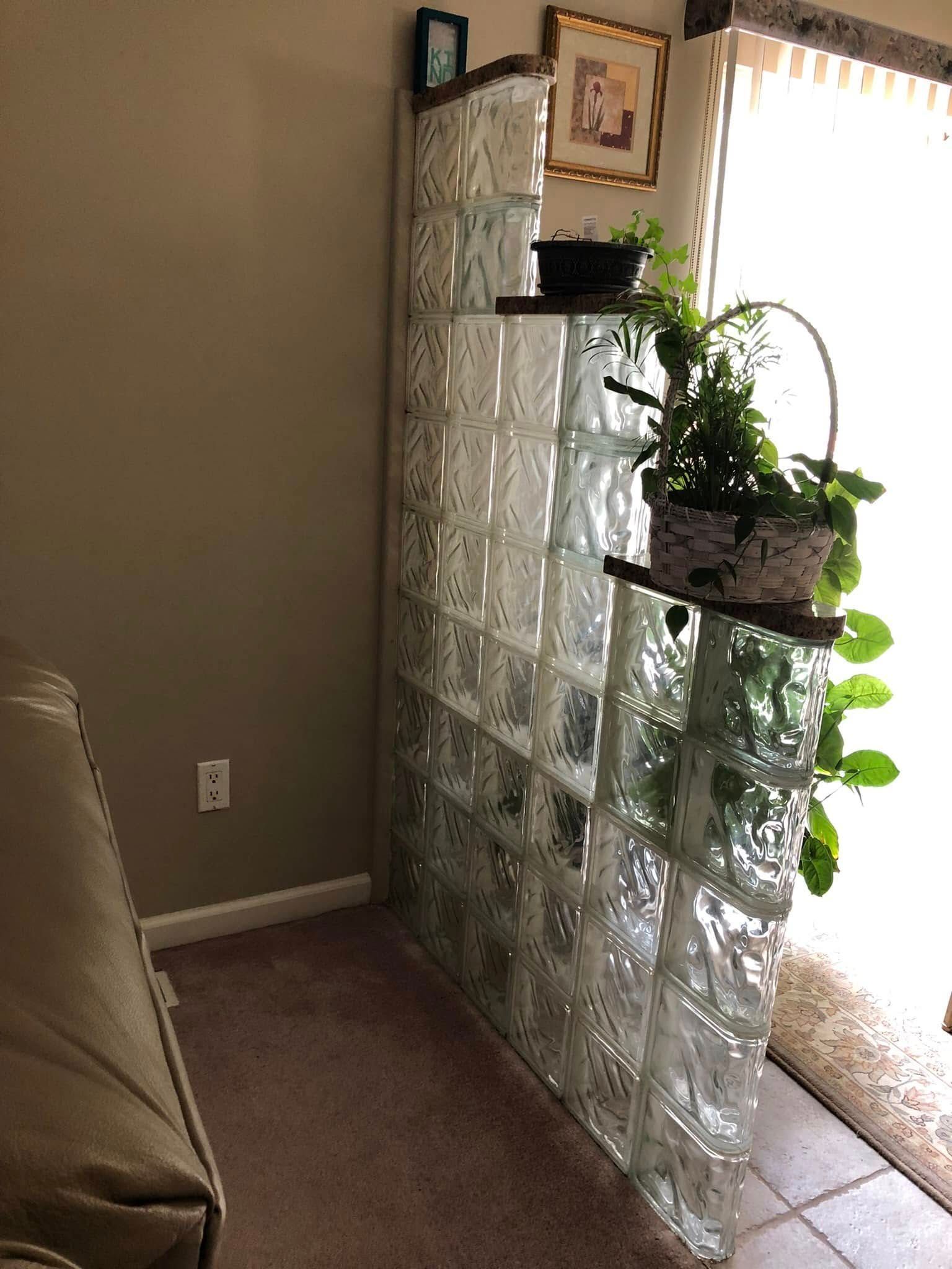 A glass block partition wall serves as a room divider, featuring tiered shelves holding potted plants near a window.