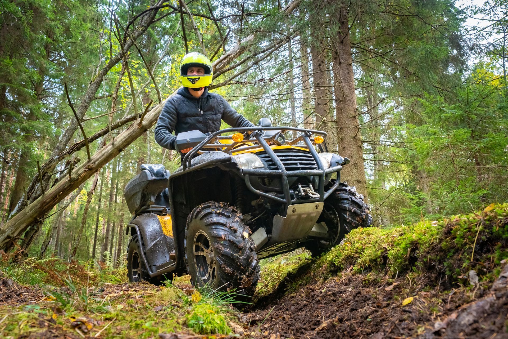 Un hombre conduce un vehículo de cuatro ruedas por el bosque.