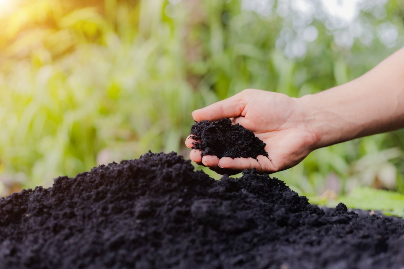 Garden Mix Soil