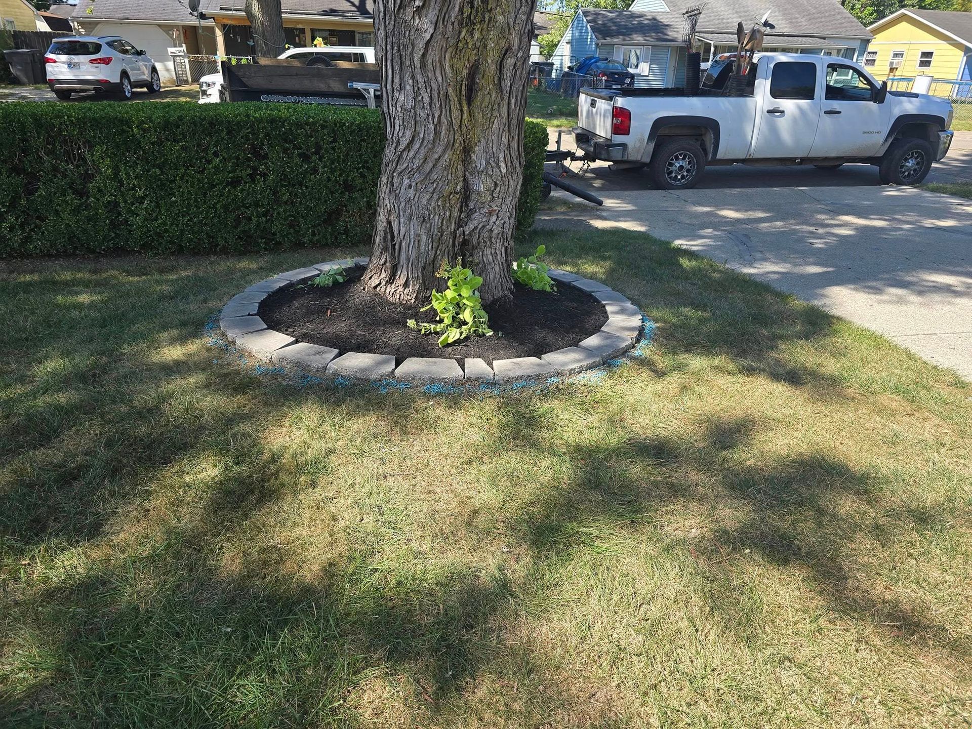 Tree in a grassy yard with a dark mulch bed surrounded by stone edging, a white truck in the background.