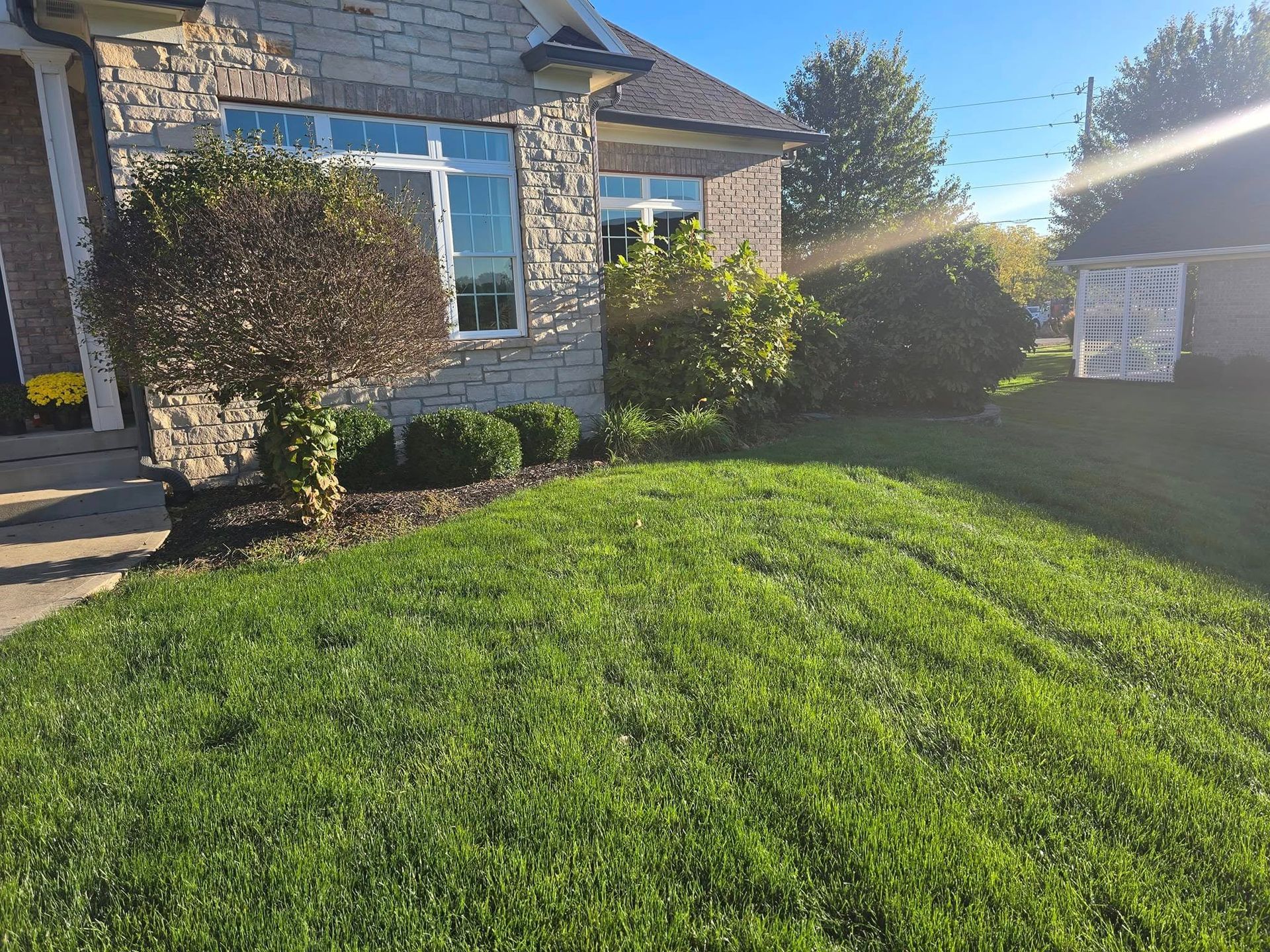 Green lawn in front of a stone-faced house with landscaping under a bright blue sky.