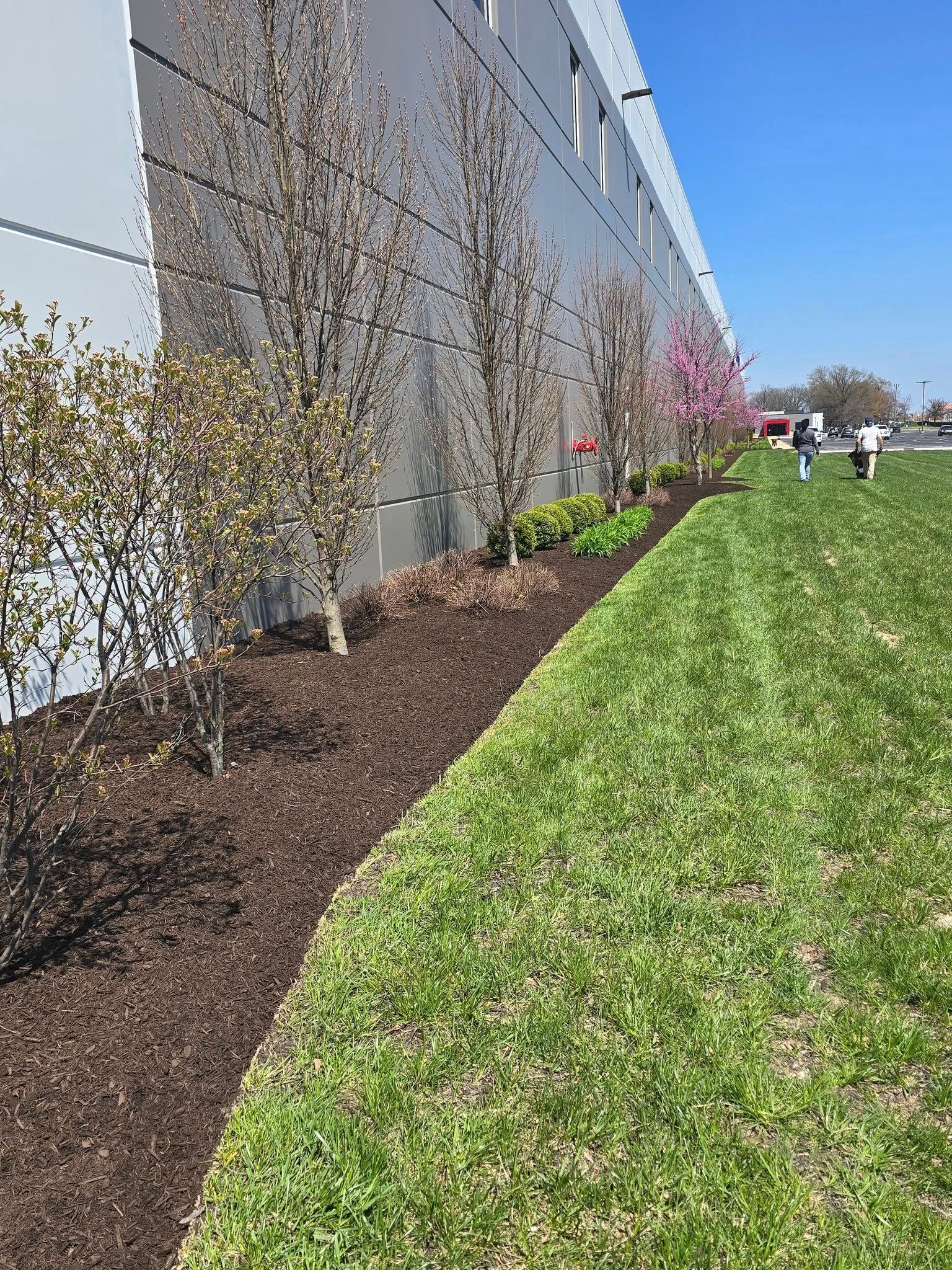 Brown mulch beds with trees and flowers alongside a building and green grass lawn, sunny day.