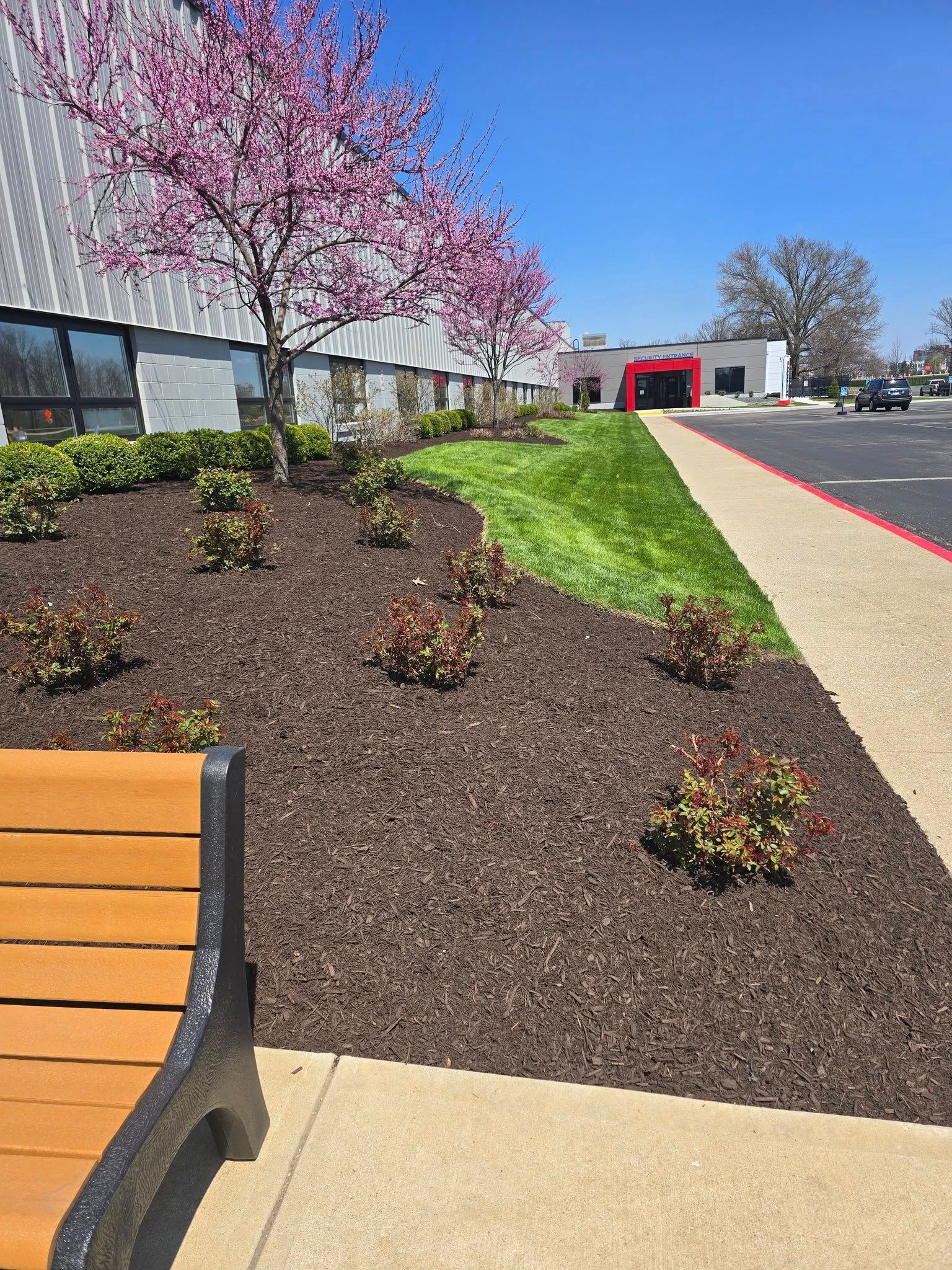 A park bench in front of a landscaped area with a tree and bushes. A building and walkway are visible.