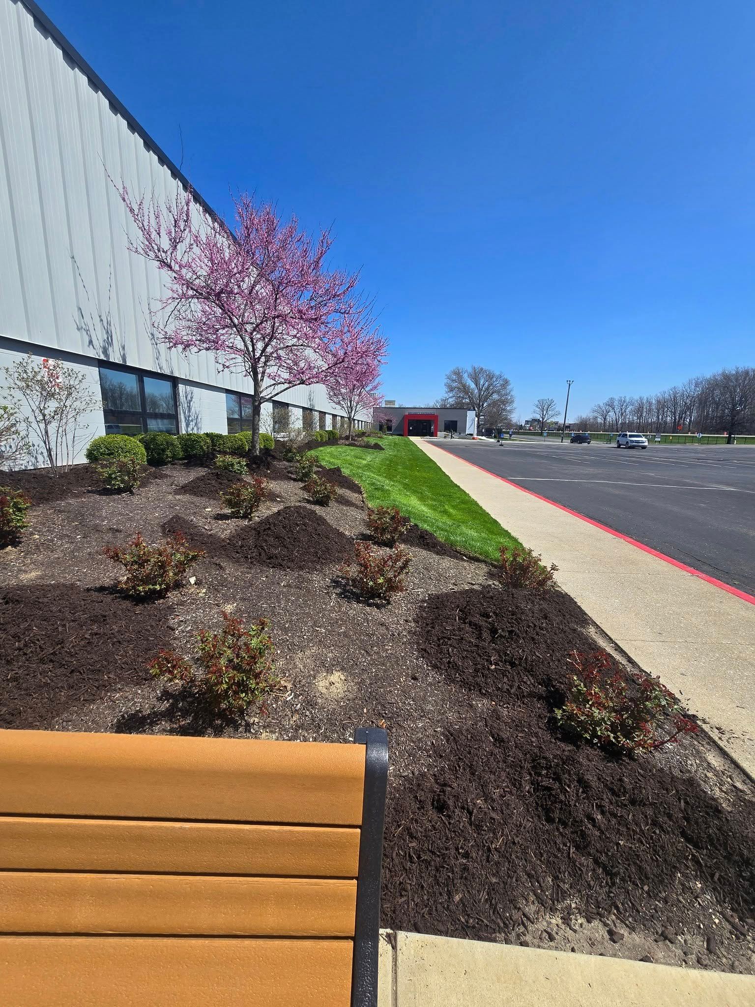 A building with pink-flowering tree, brown mulch, green grass, and a paved road under a bright blue sky.