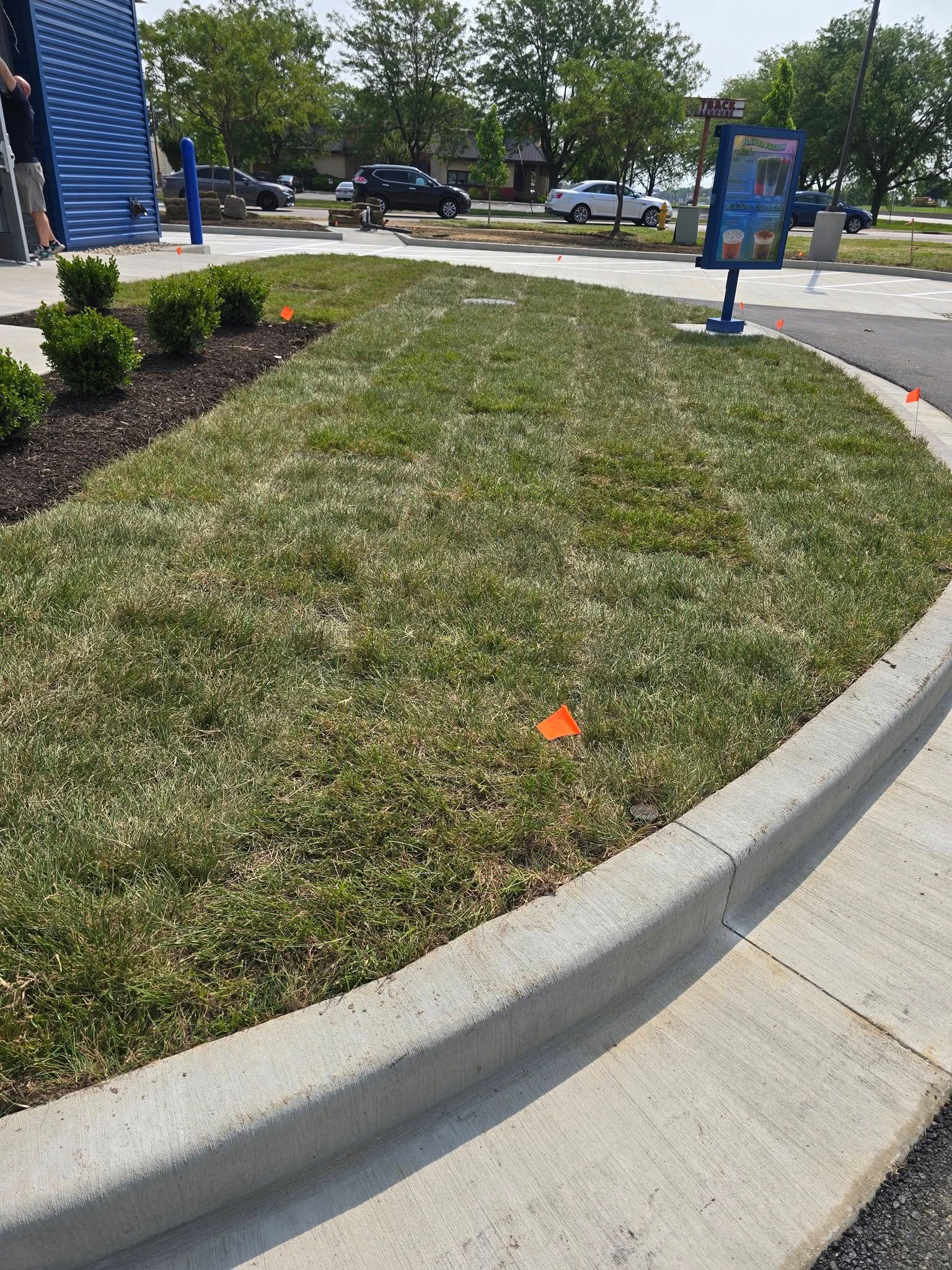 Green grassy area with concrete curb, orange flags, and shrubs.