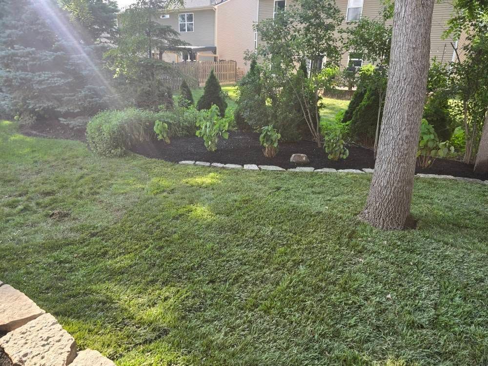 Green lawn with landscaped garden bed and small trees, near a house.