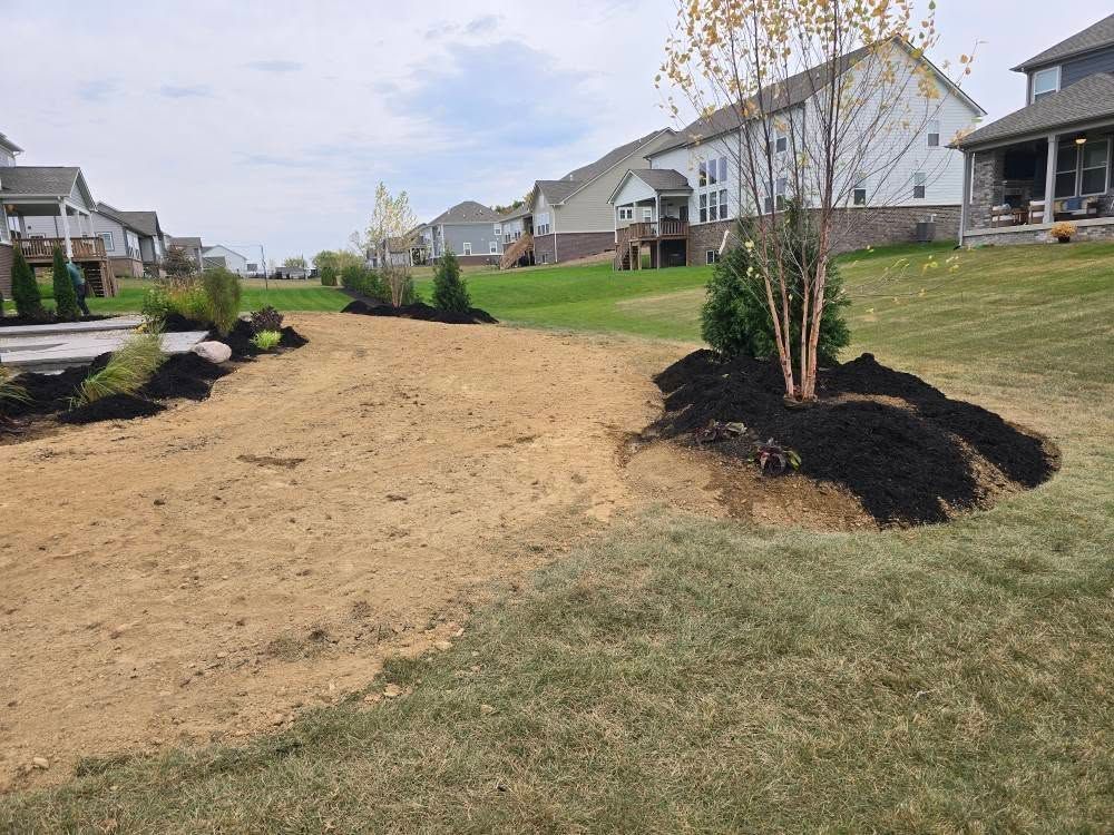 Newly landscaped backyard with grass, mulch, trees, and houses in the background under an overcast sky.