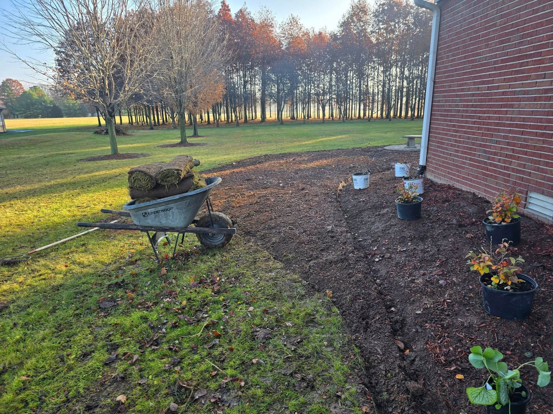 A wheelbarrow holding sod next to a mulched flower bed bordering a brick building. Trees in the background.