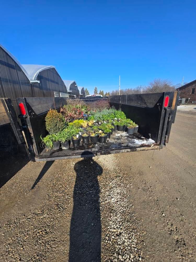 Plants in black trailer, likely for gardening. Blue sky, shadow of person.