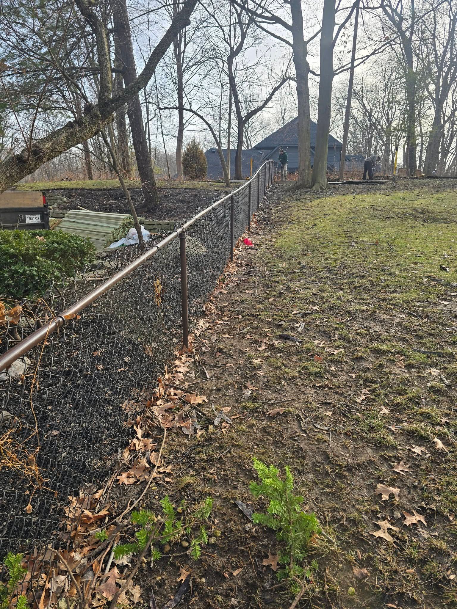 Chain link fence along a grassy area, trees in the background.