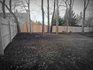 Backyard with a wooden fence and bare trees.