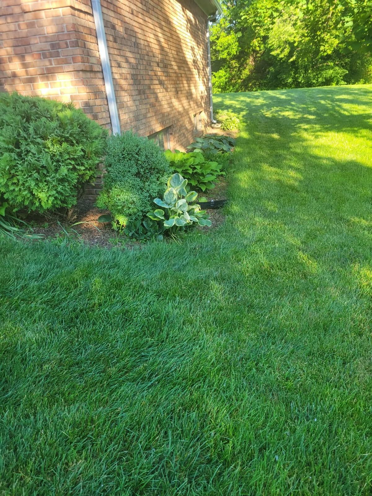 Lush green lawn with a flowerbed next to a brick building.