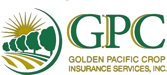 Logo for American Traditions Insurance Company. Features a house and sun with ATIC text. Green and yellow colors.