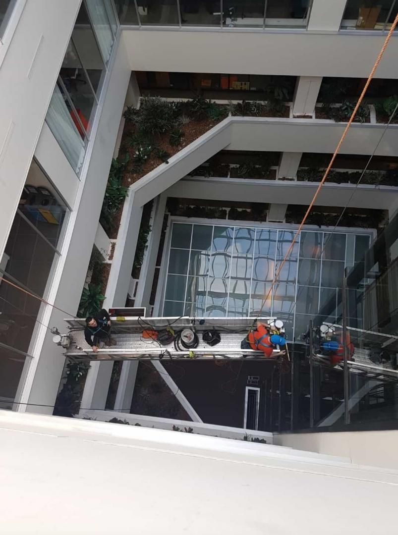 Des ouvriers nettoient la toiture vitrée d'un atrium depuis une plateforme. Extérieur d'un bâtiment blanc avec des plantes en arrière-plan.