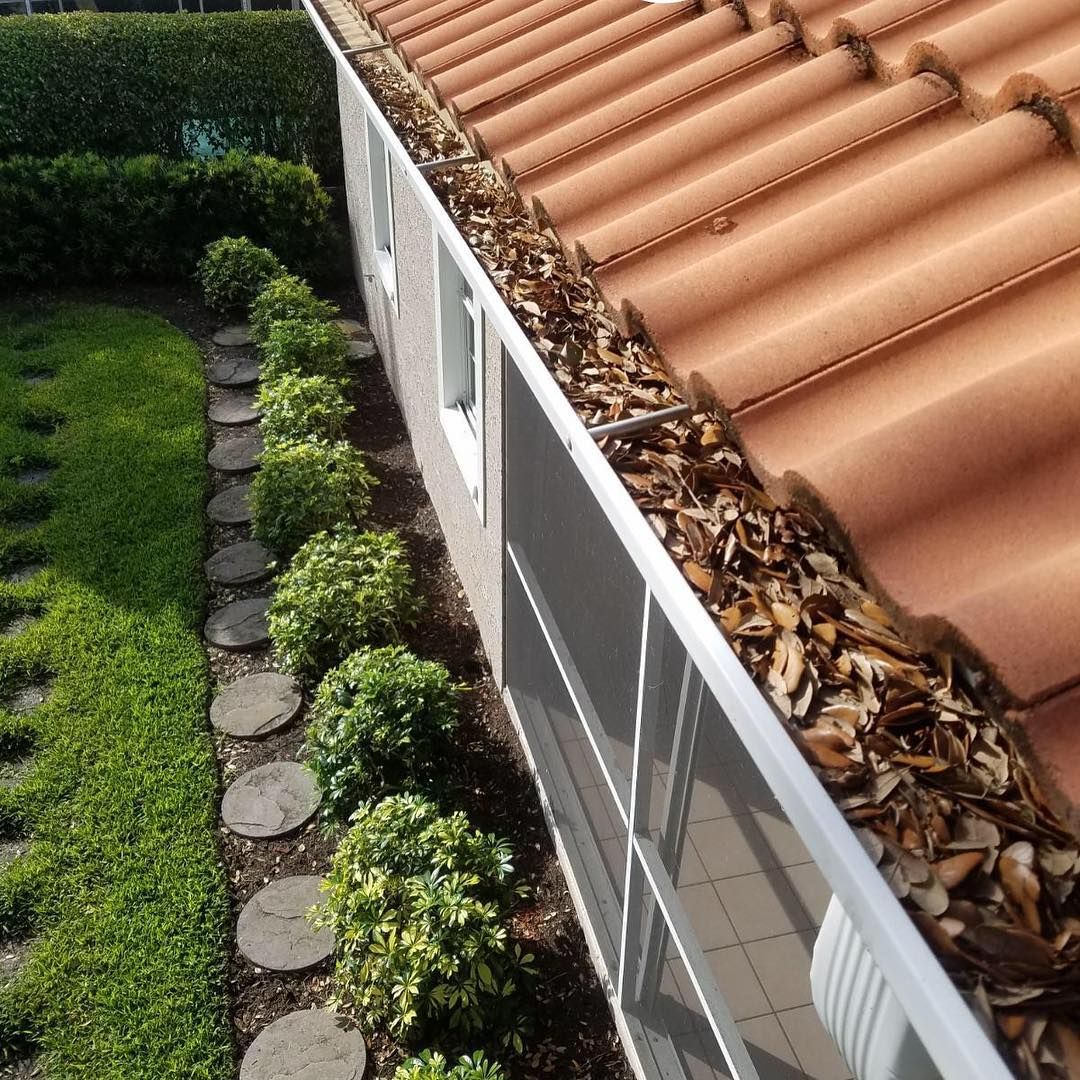 A gutter filled with leaves on the side of a house