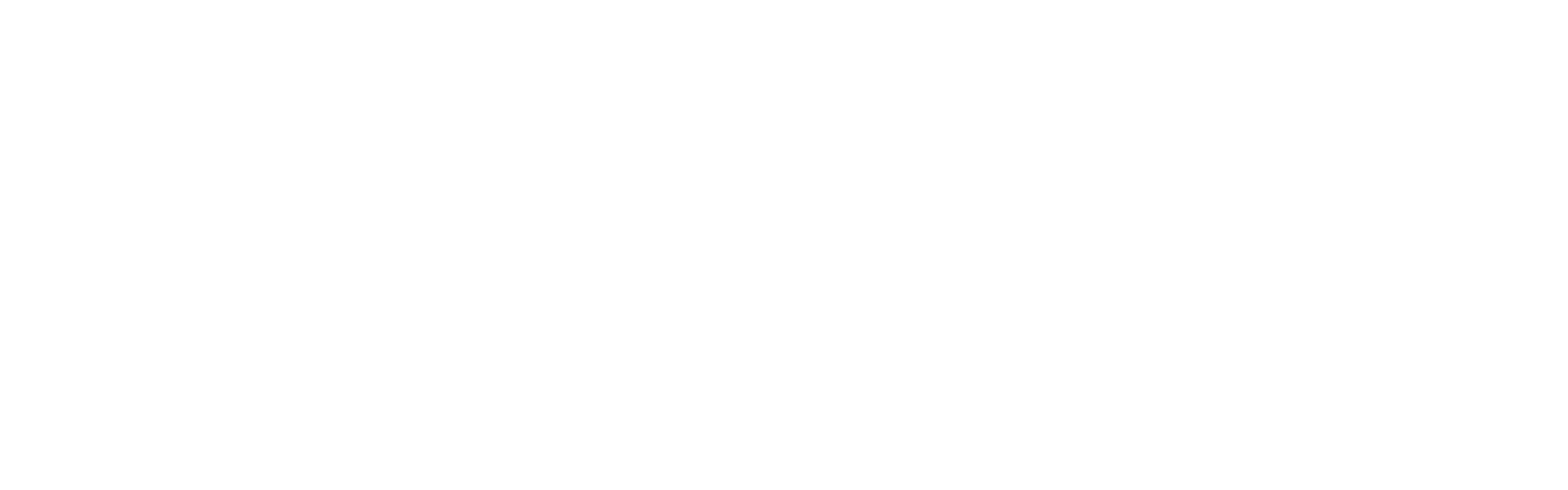 ProTruth South Carolina logo (in white)