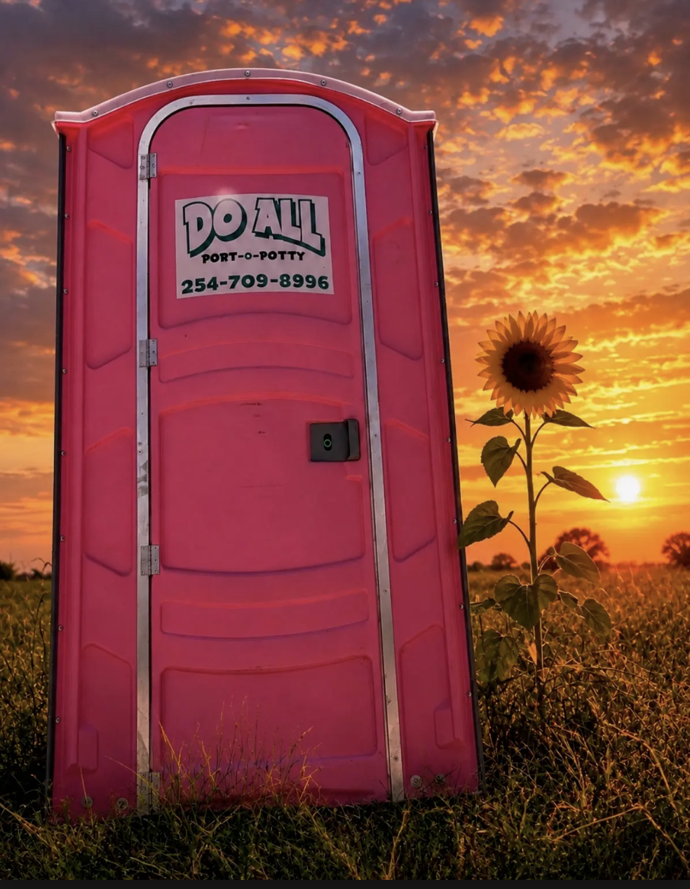Pink portable toilet in a field at sunset with a sunflower and orange sky behind it