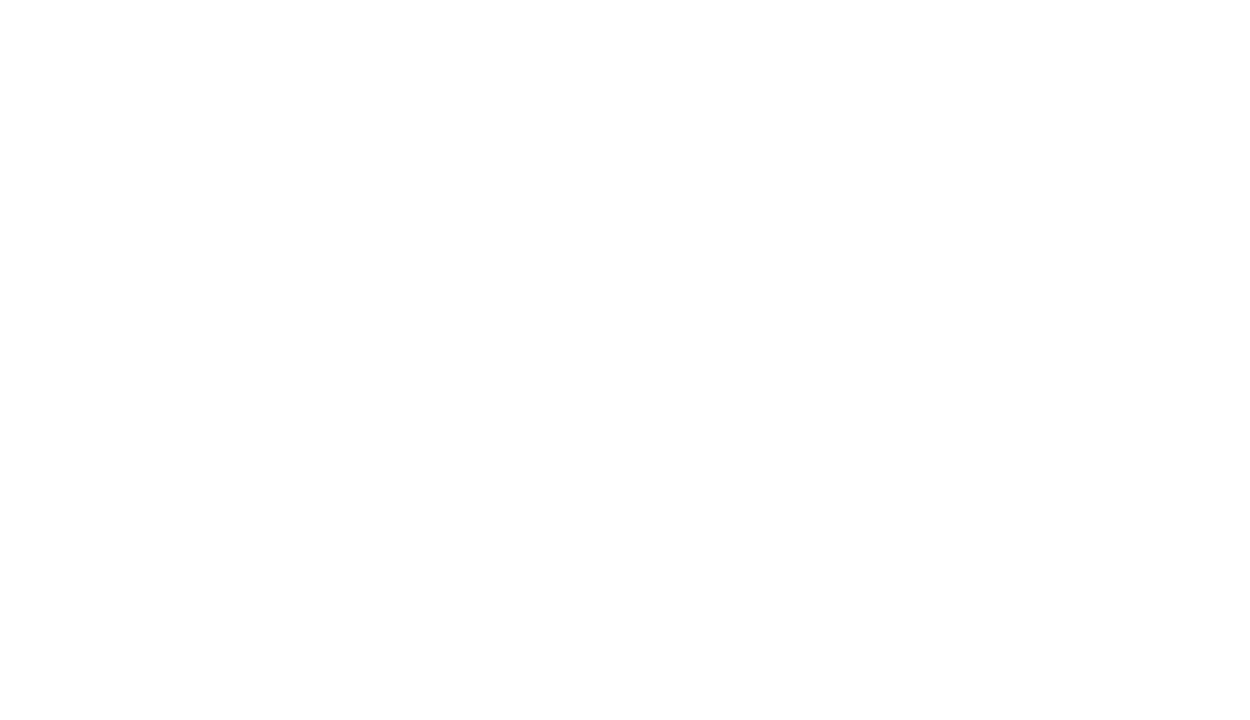 logo nexa