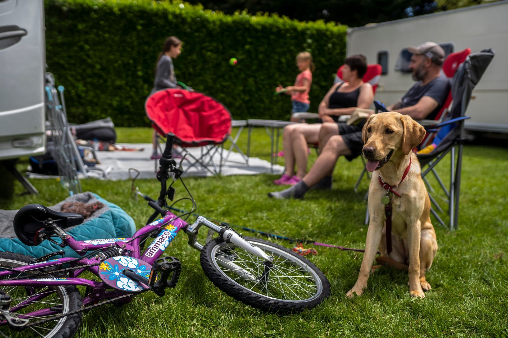 Dog sits in front of a family relaxing near an RV. A bicycle and chair are nearby.