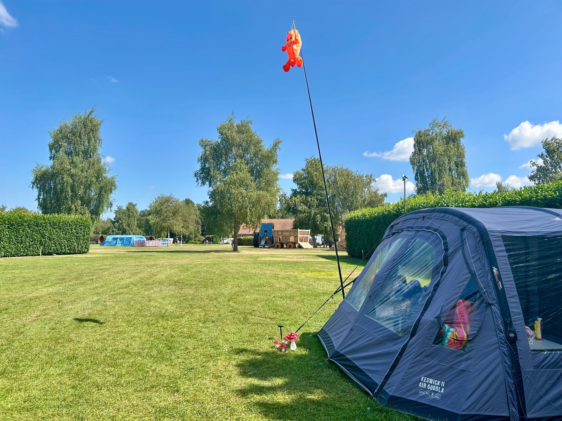 Blue tent on green grass with a cartoon kite in a blue sky. Trees and buildings in the background.