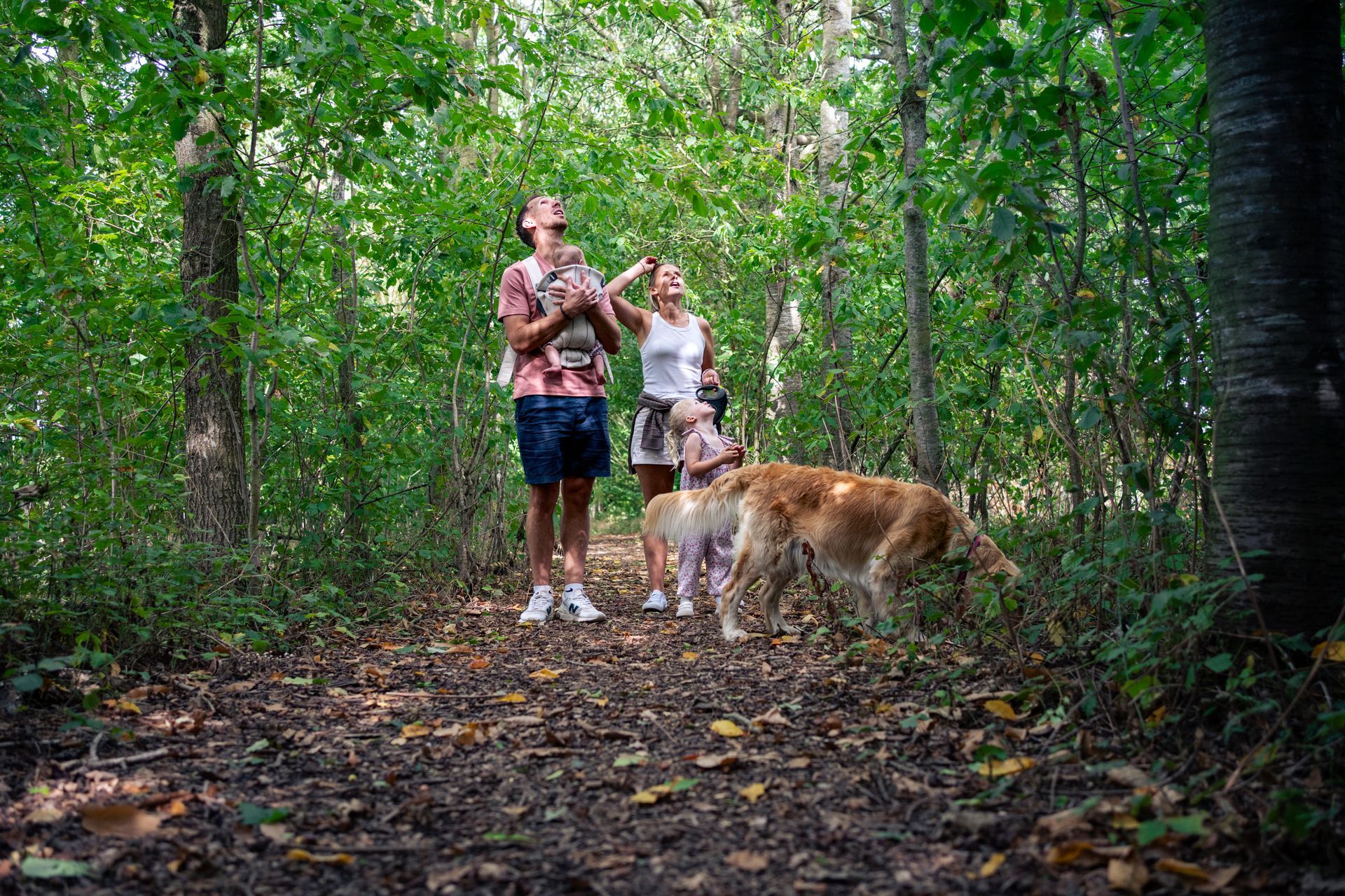 People and dogs in a forest, looking up. One person holds a small dog.
