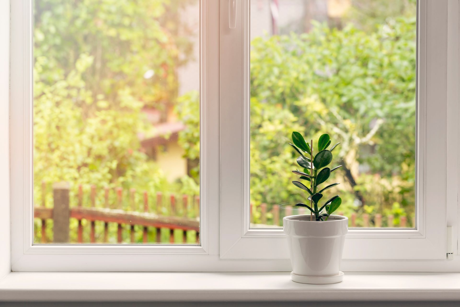 Small potted plant on a windowsill with a bright green garden view outside