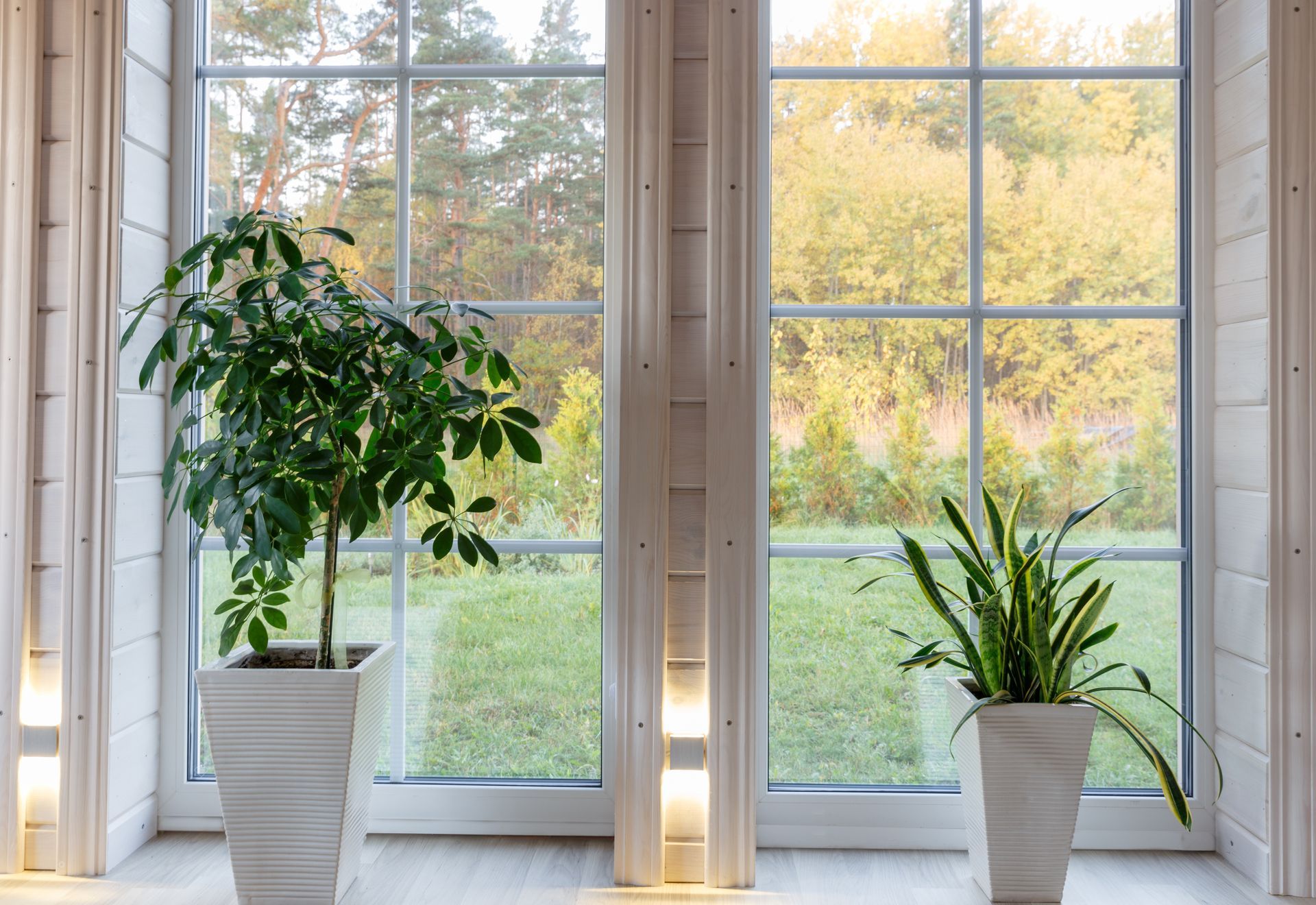 Two potted plants on a sunlit windowsill with a garden view outside