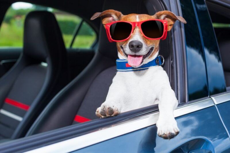 Blog Post Image | New Deal Auto Repair