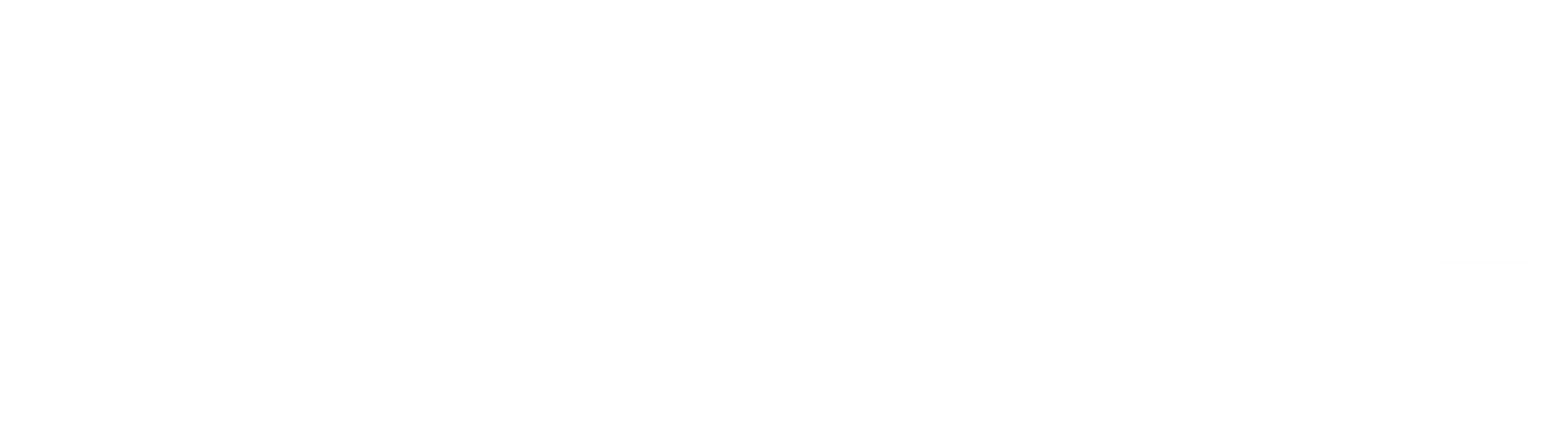 Black Line Properties Logo