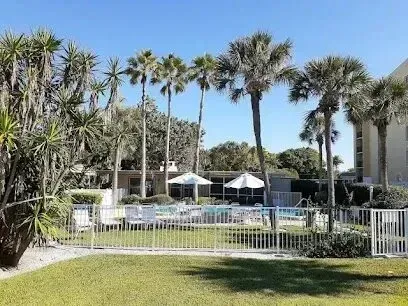 Hvac-Contractor-Bradenton-A fenced in yard with palm trees and a swimming pool.