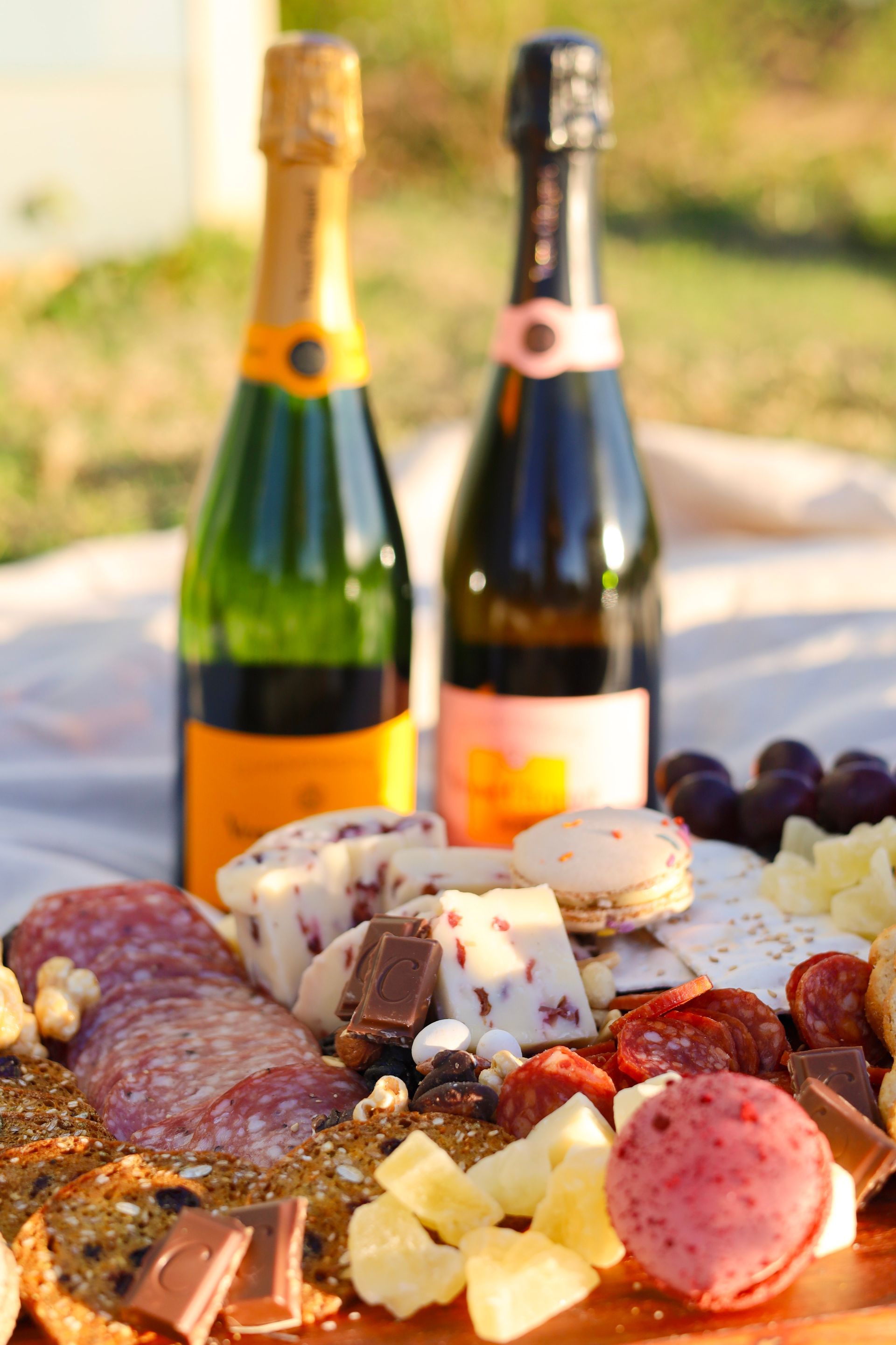 Wine and assorted cheeses, charcuterie, and grapes on a platter with two sparkling wine bottles