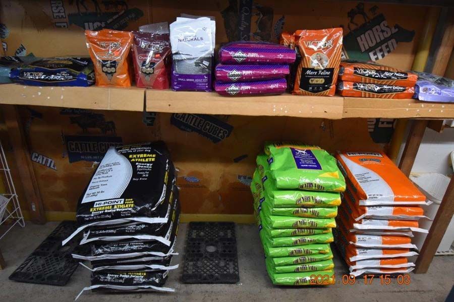 Shelves stocked with assorted colorful packaged snacks and candy bars in a store display